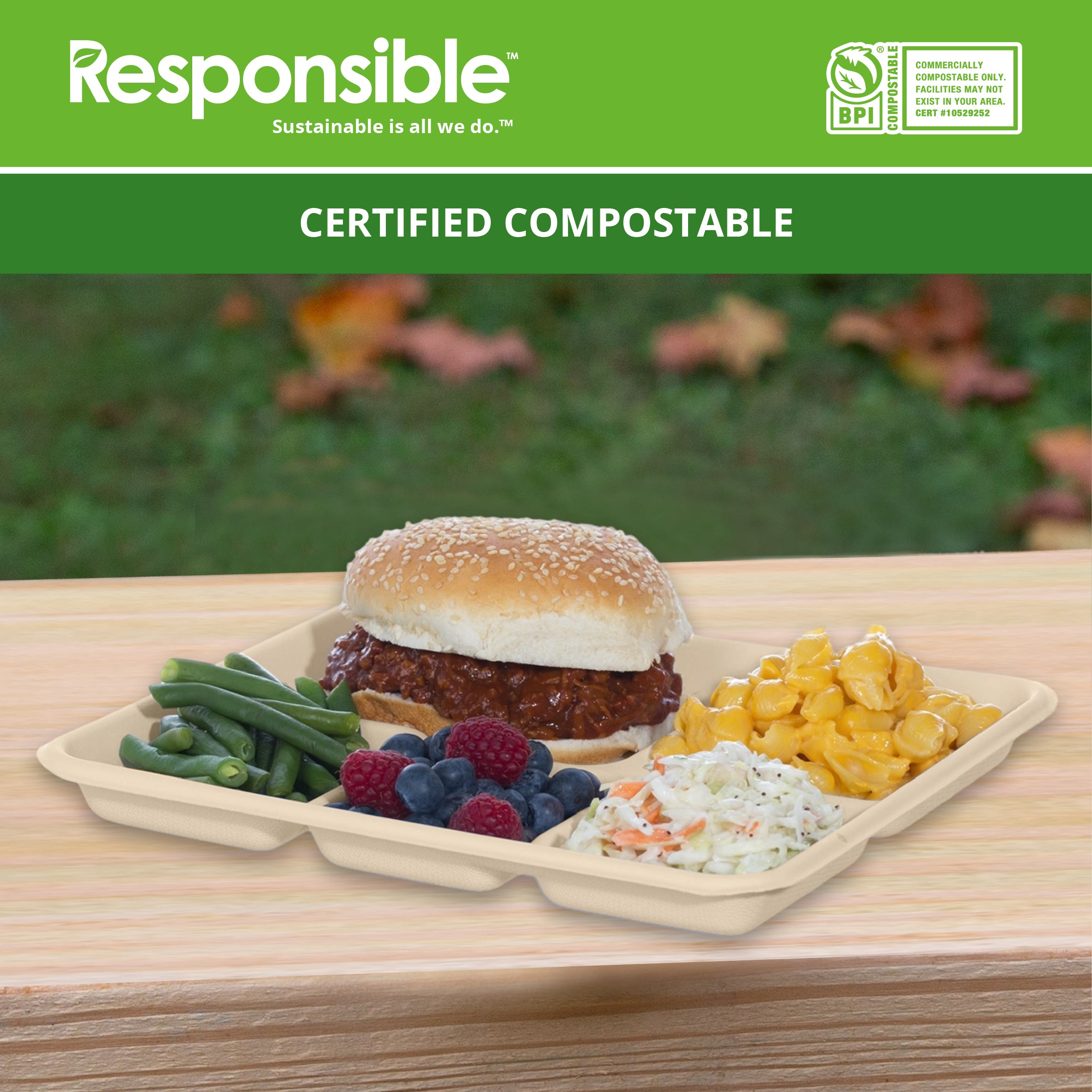 Compostable 5-Compartment Food Trays Molded Fiber Brown