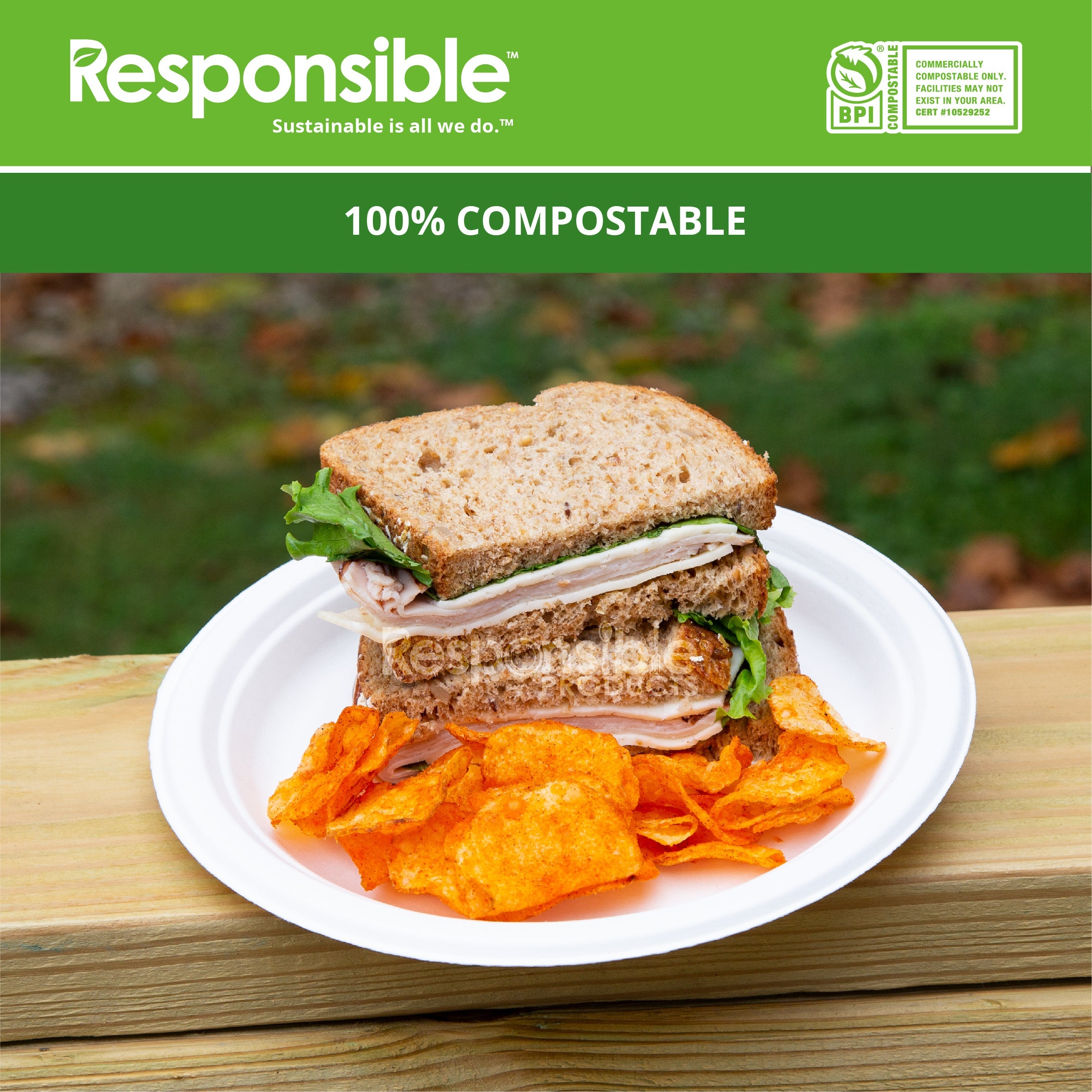 Compostable 8.75 Inch Round Plates