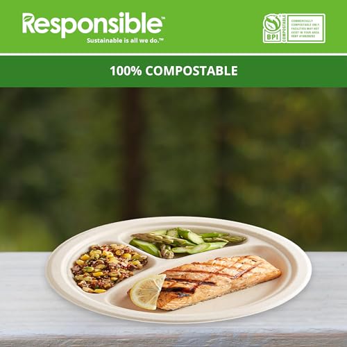10 Inch 3-Compartment Plates
