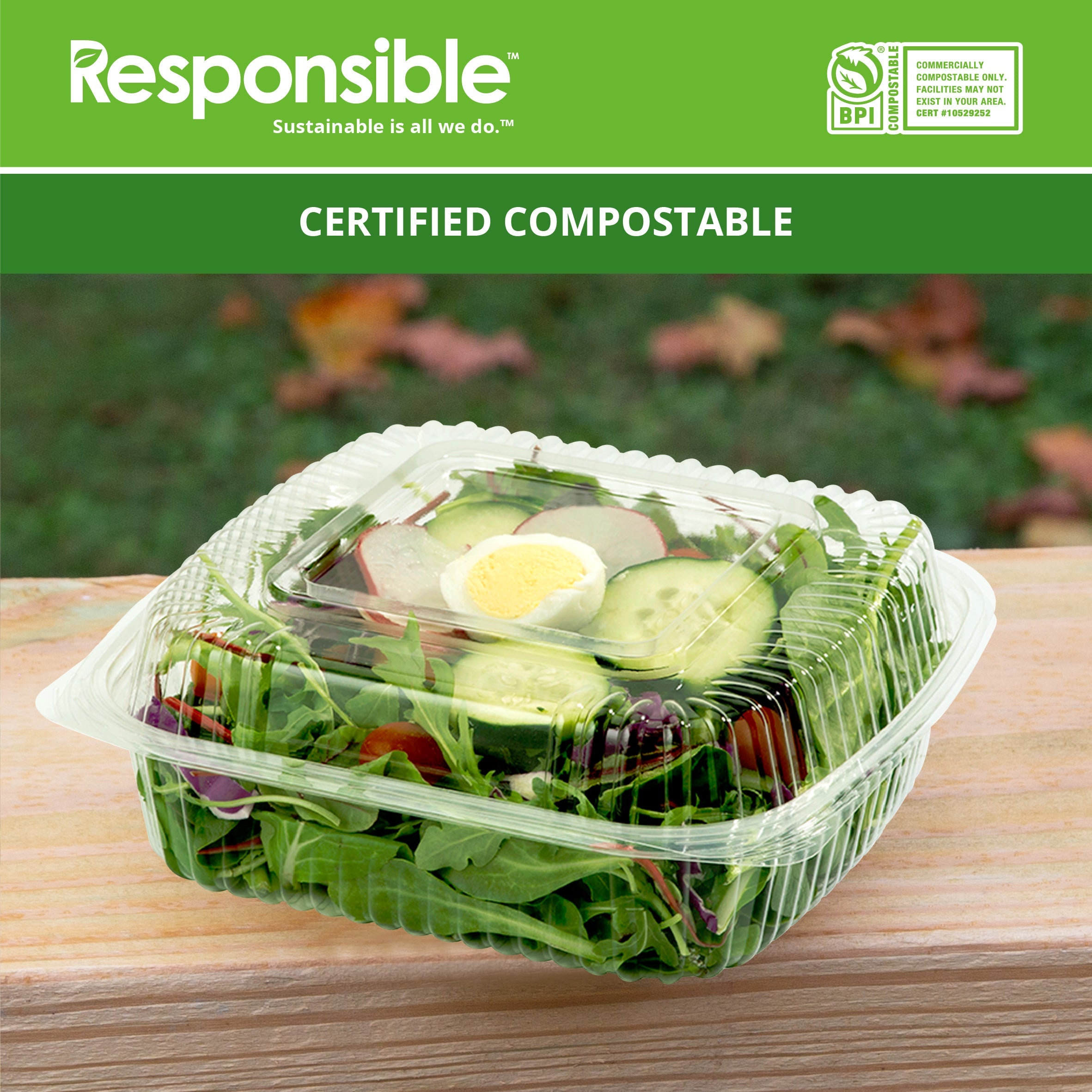 Compostable 8 x 8 Inch Clear hinged containers