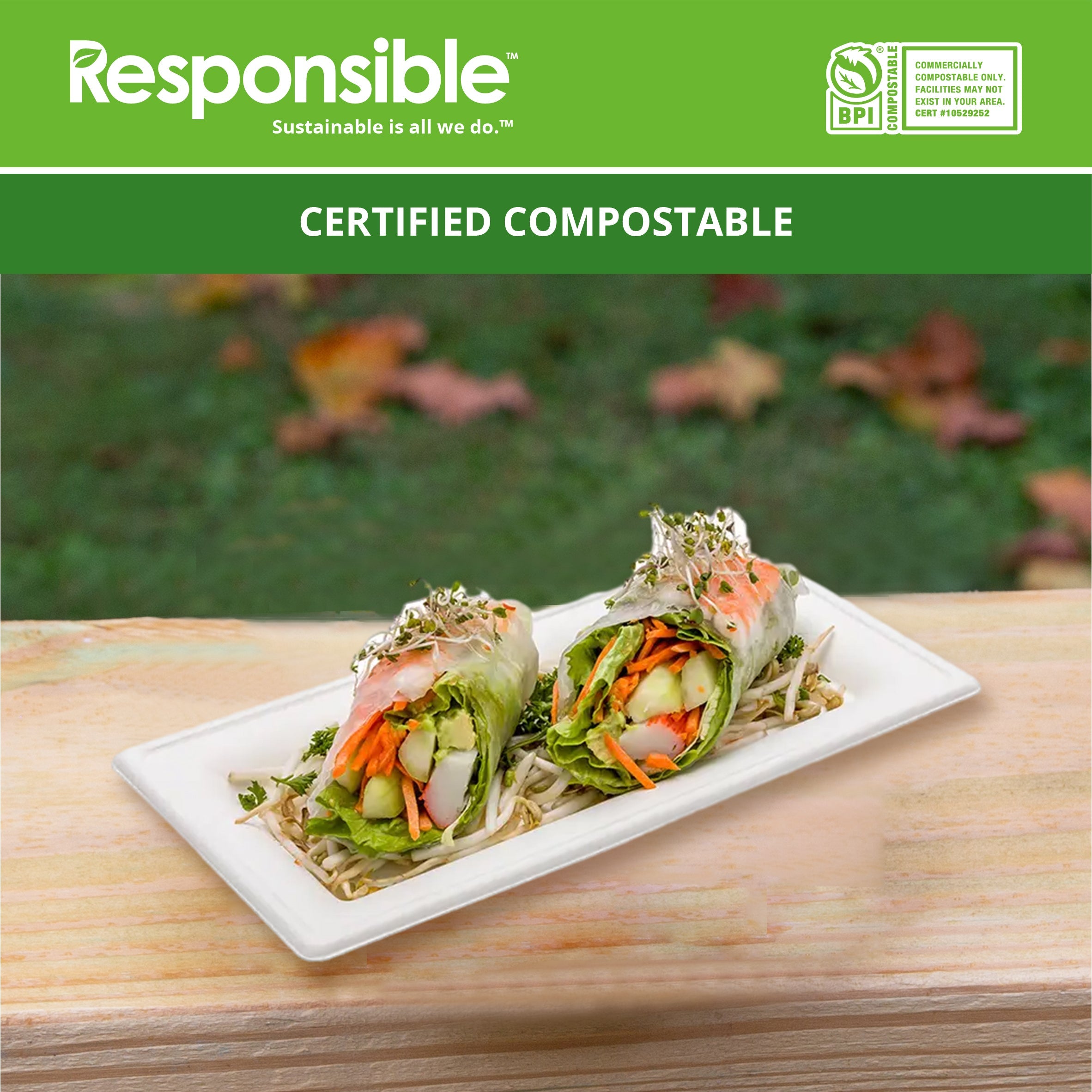 10 x 5 inch Rectangle Plates