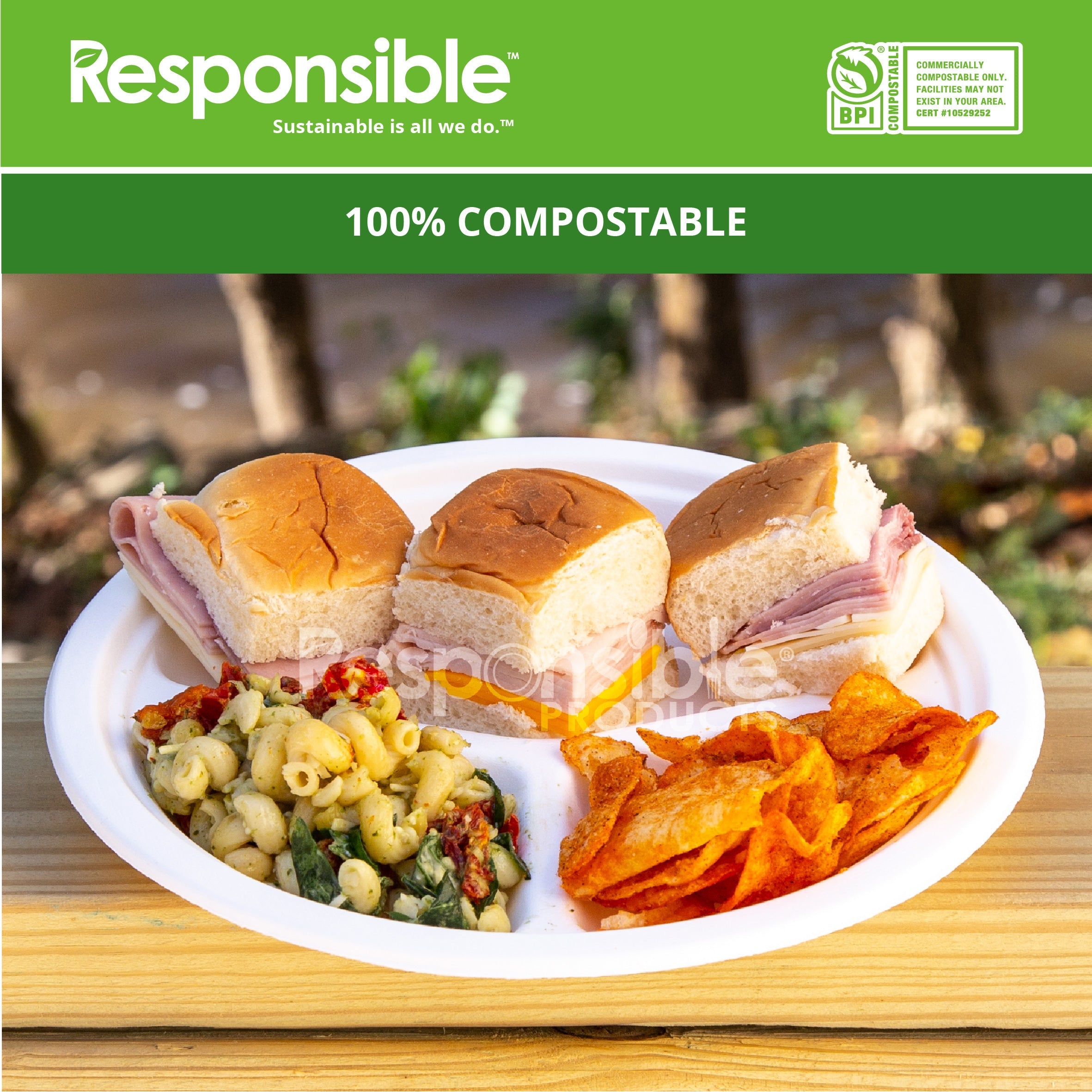 10 Inch 3-Compartment Plates