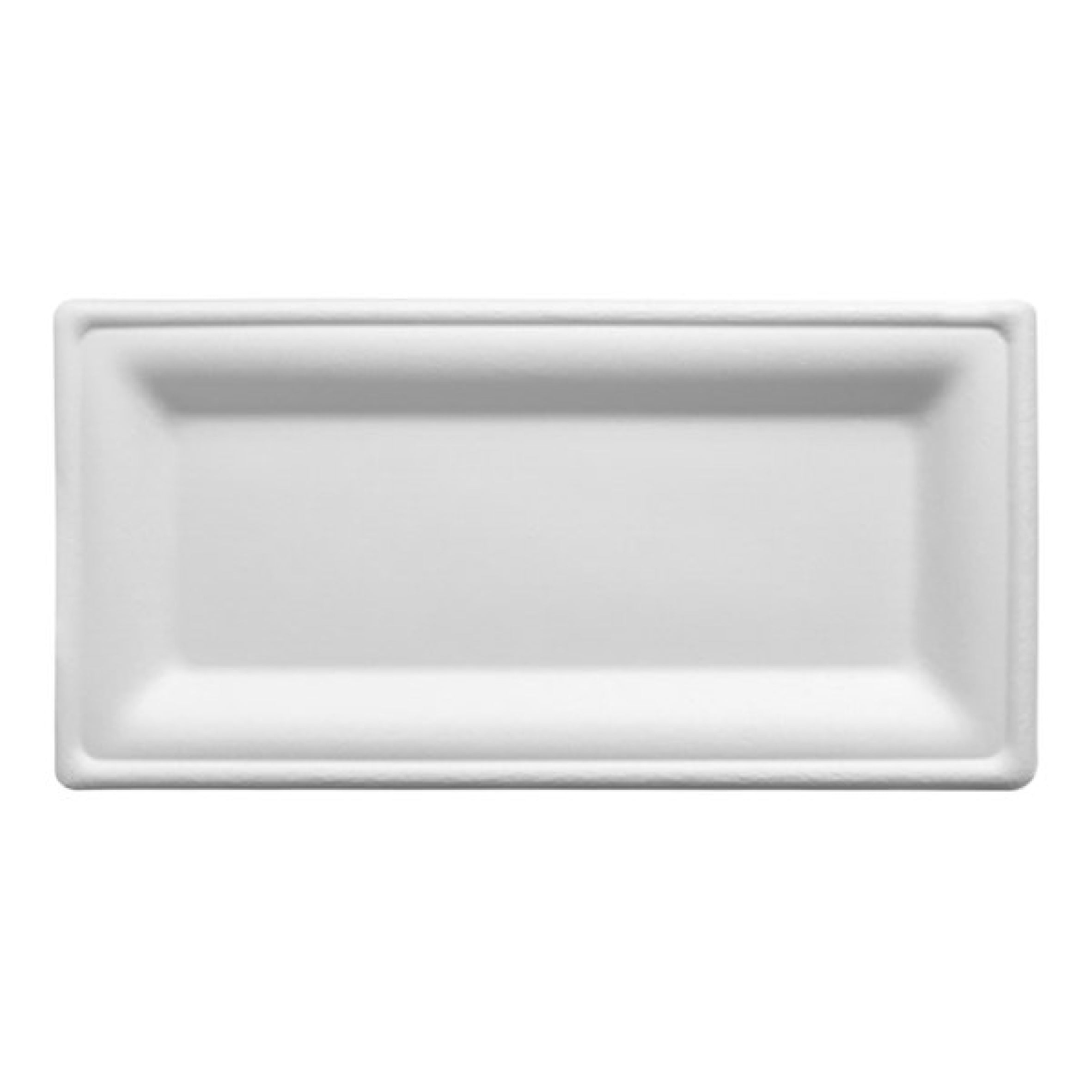10 x 5 inch Rectangle Plates