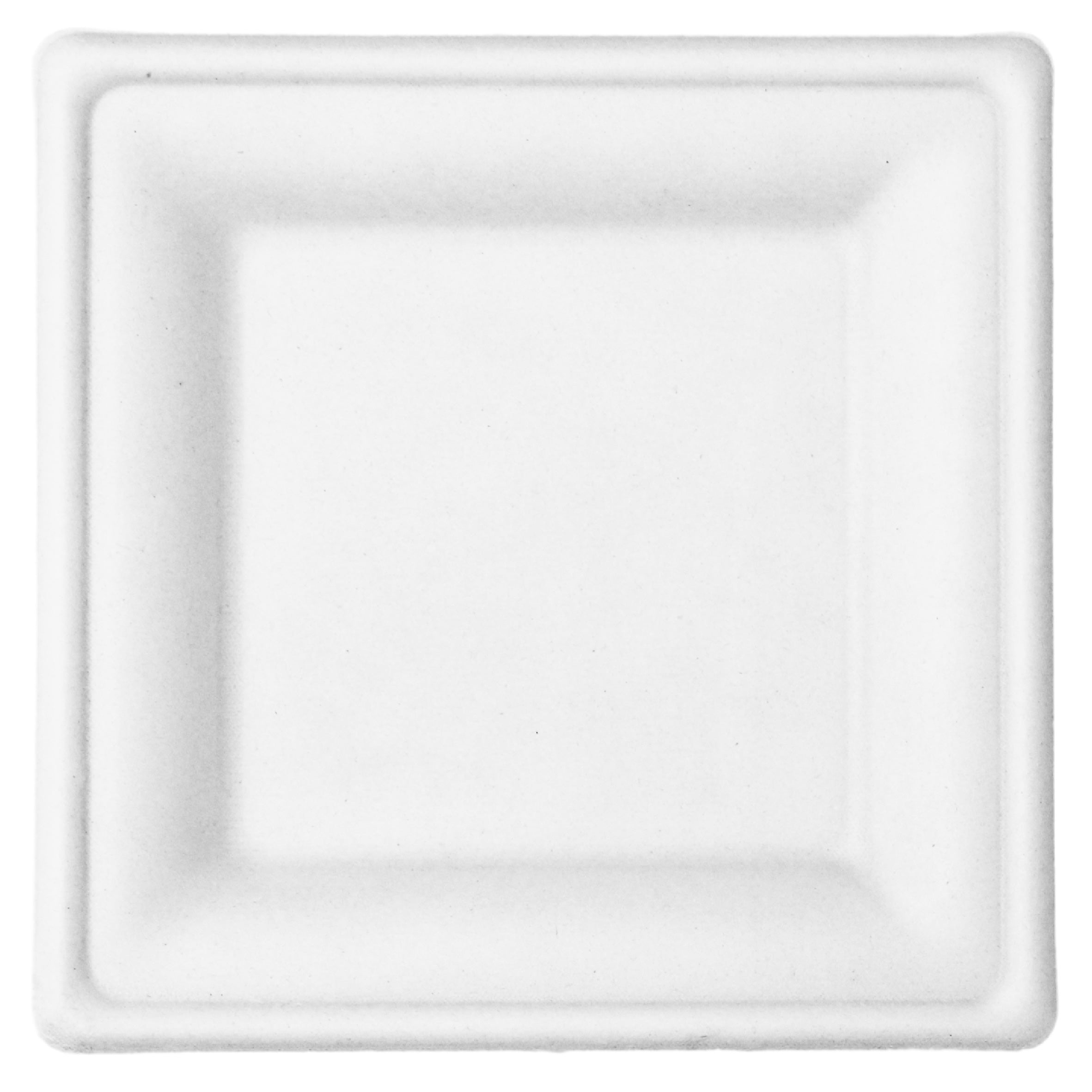 10 Inch Square Plates