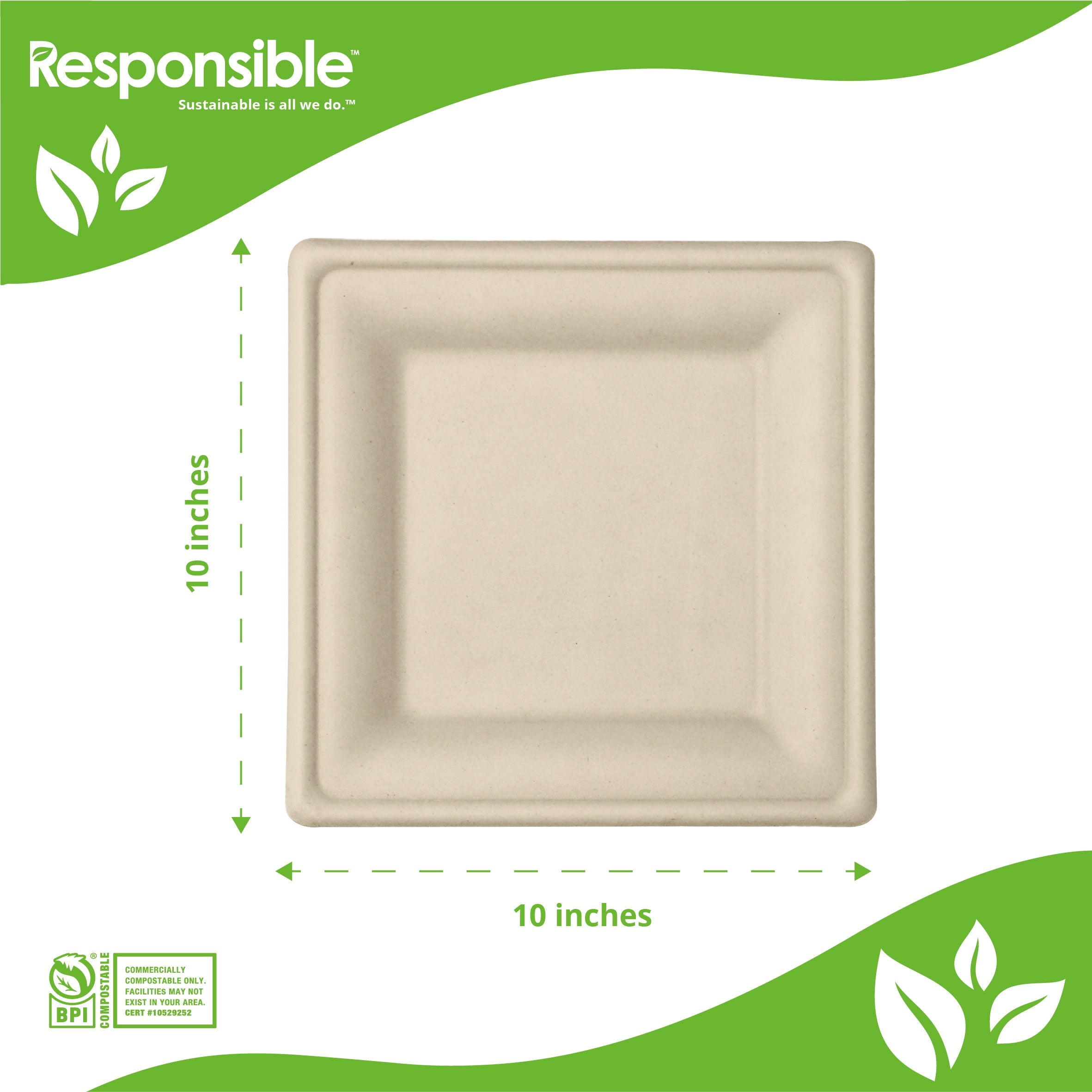 10 Inch Square Plates