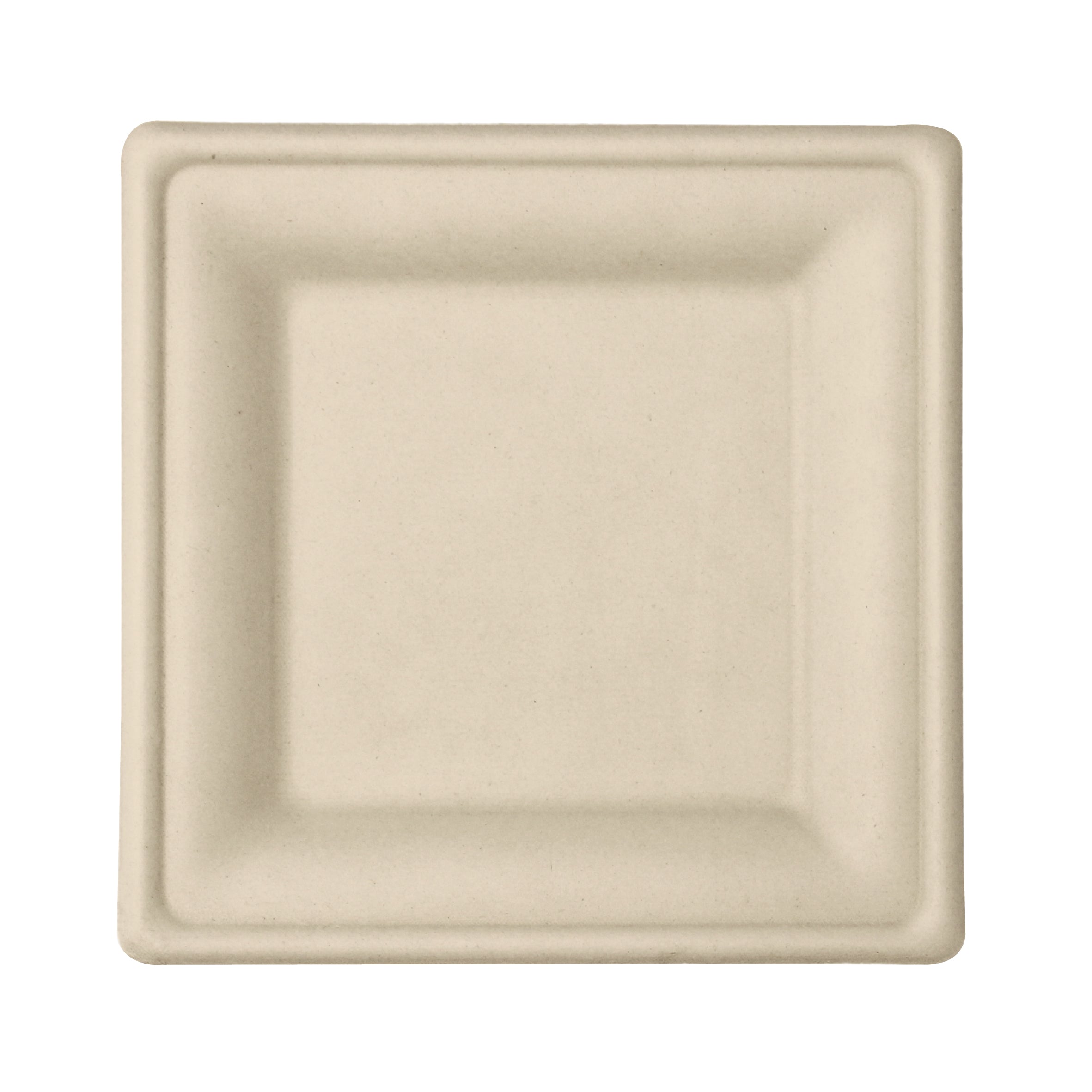 10 Inch Square Plates