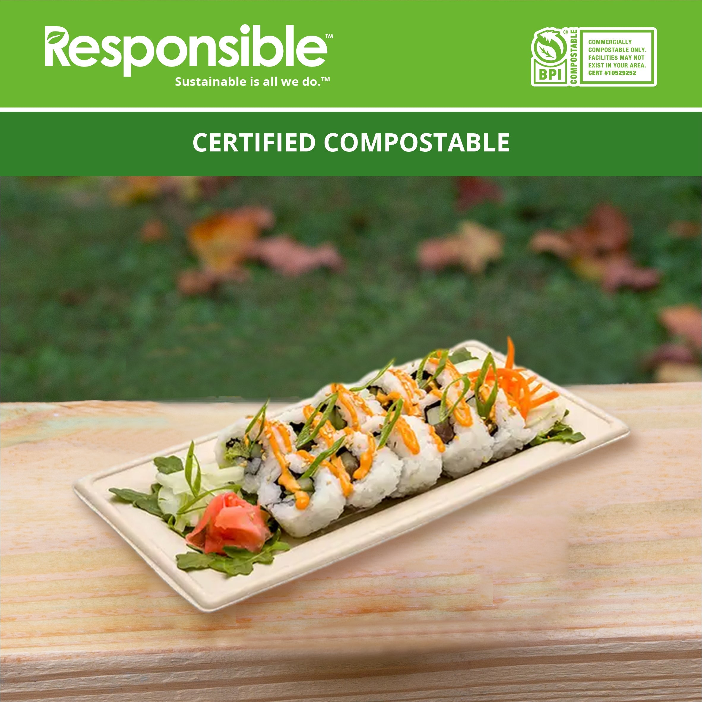 10 x 5 inch Rectangle Plates