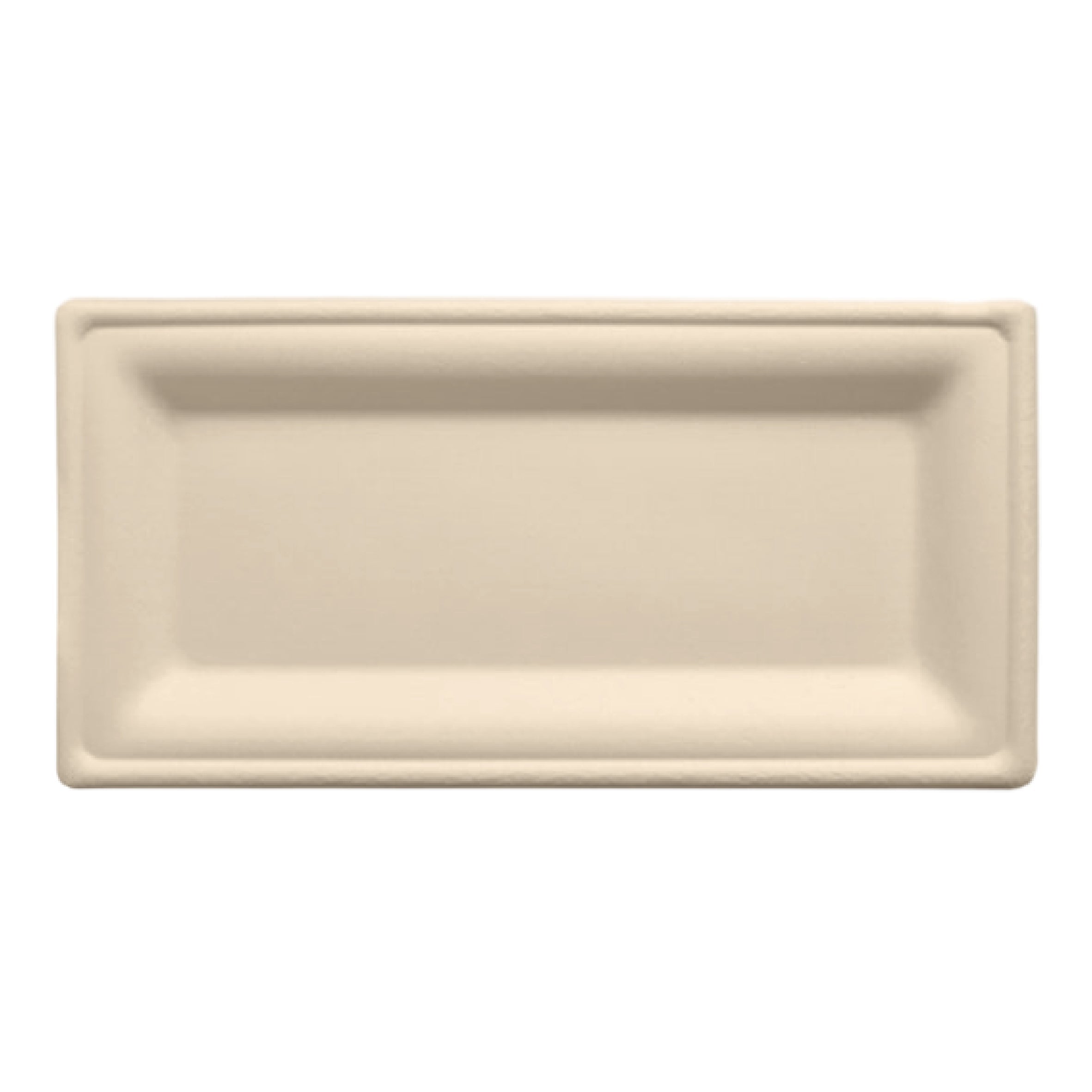 10 x 5 inch Rectangle Plates
