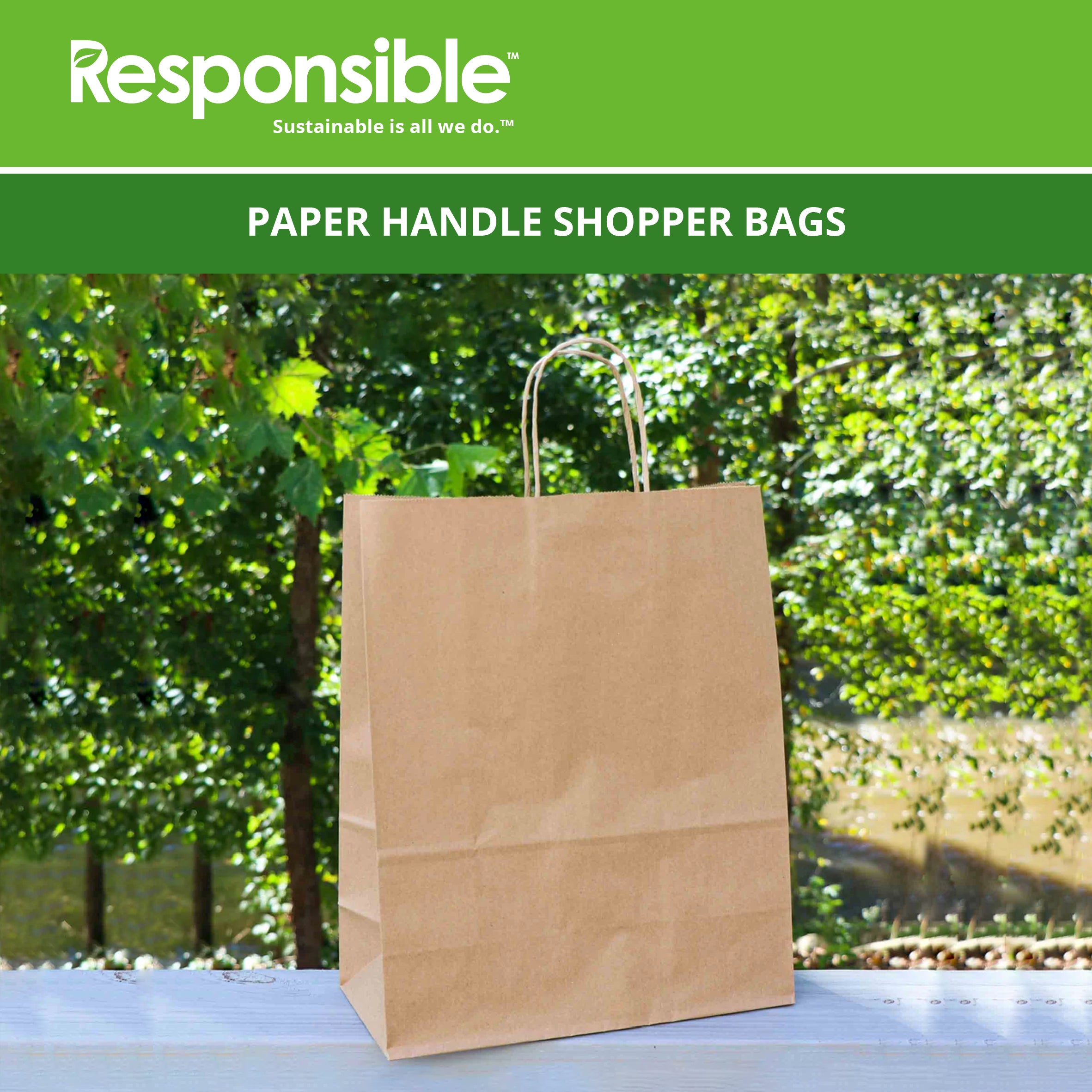 13 x 7 x 13 inch Paper Handle Shopping Bag