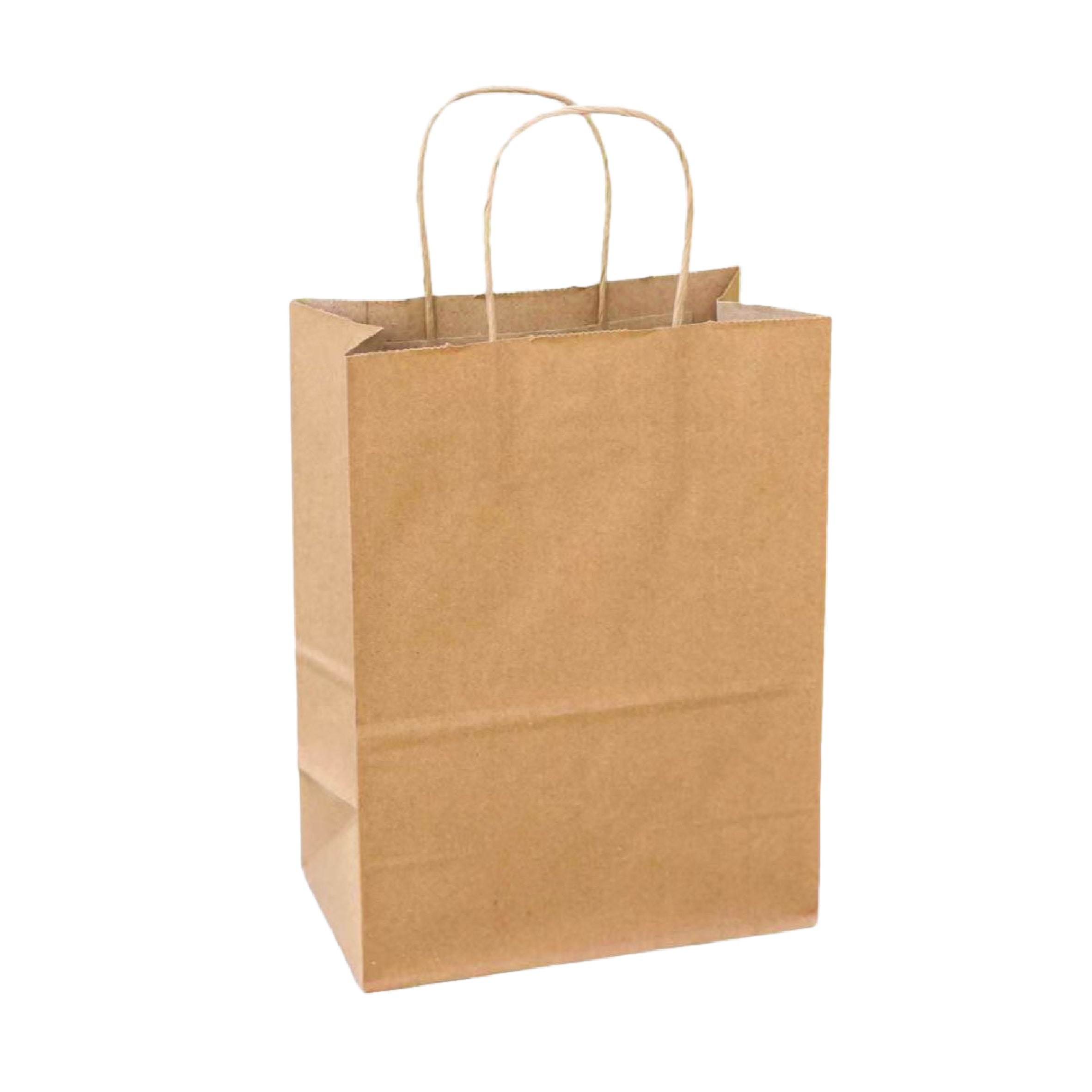 8.1" x 10.6" x 4.5" Handle Paper Bag (Tempo)