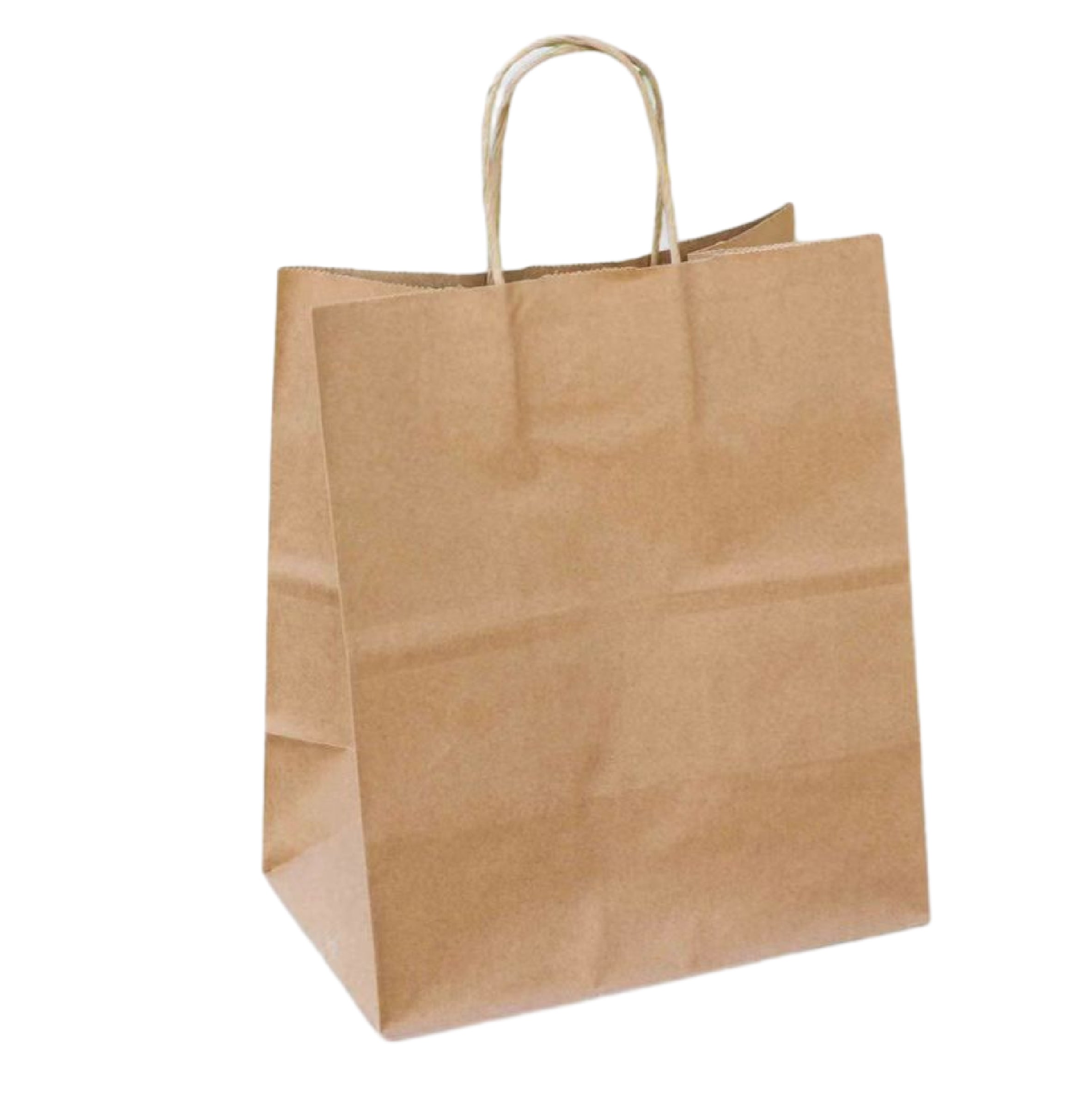 10.2 x 12 x 6.5 inch Paper Handle Shopping Bag