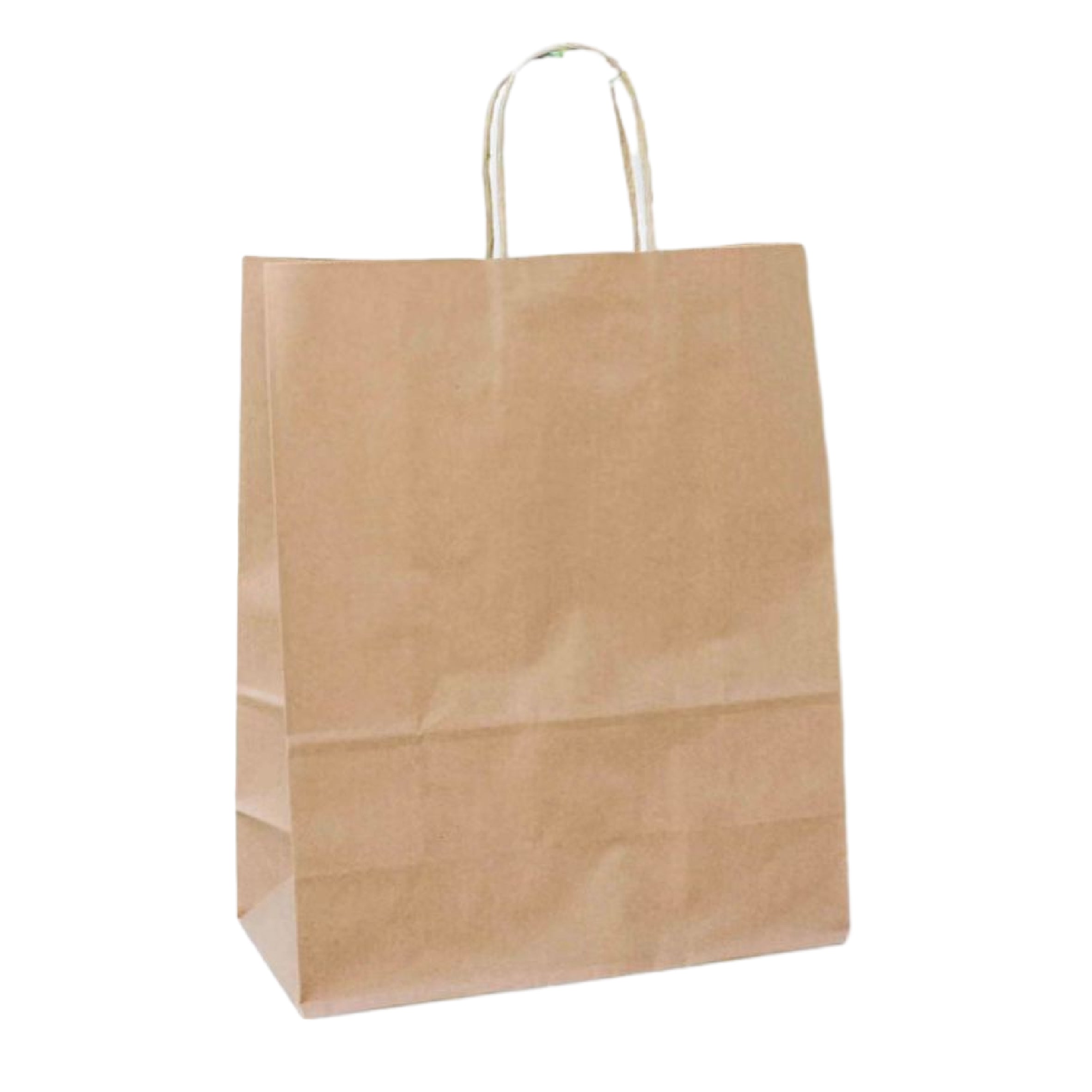 10.2 x 5.1 x 12.8 inch Paper Handle Shopping Bag