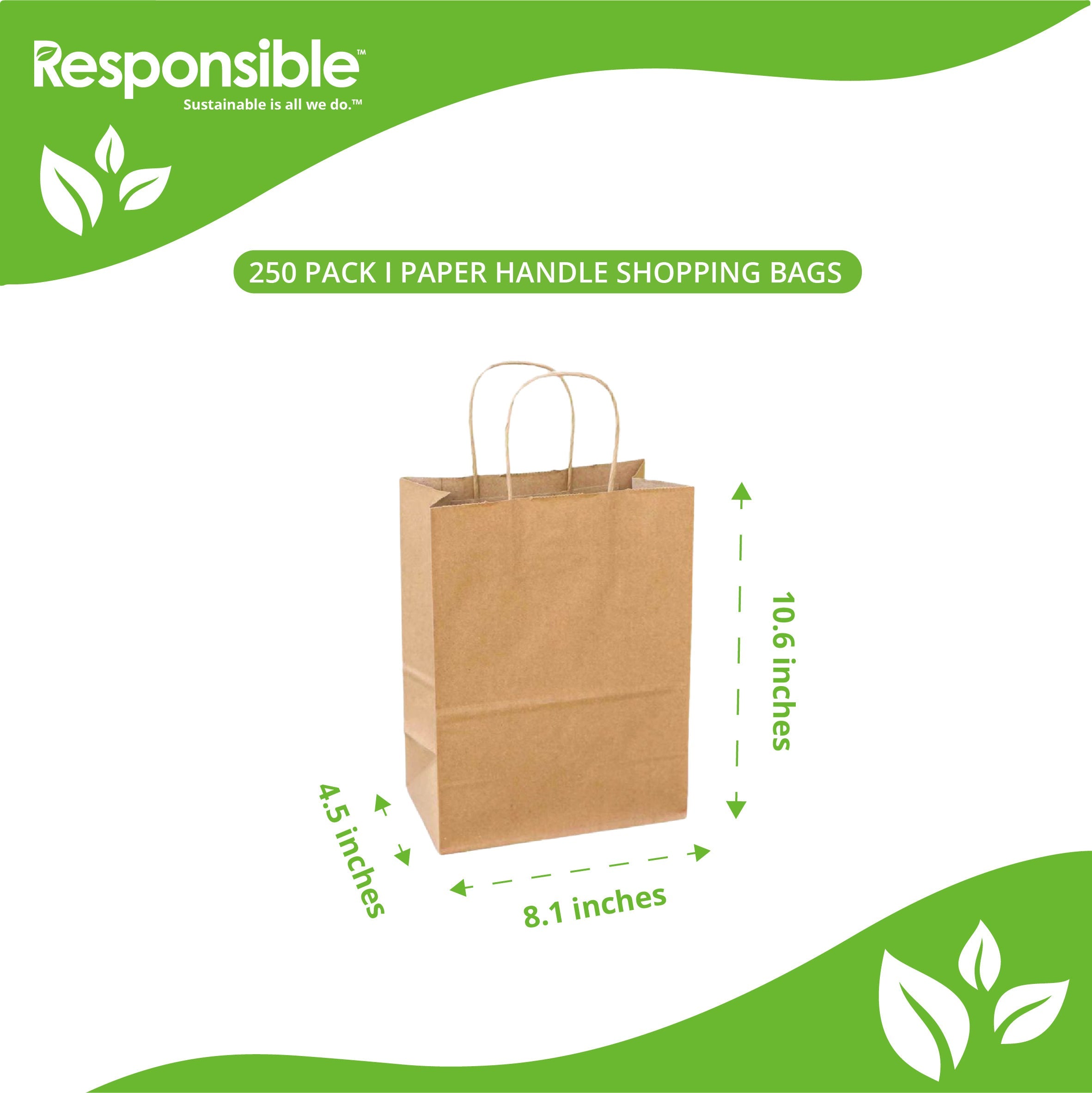 8.1 x 10.6 x 4.5 Inch Paper Handle Shopping Bag