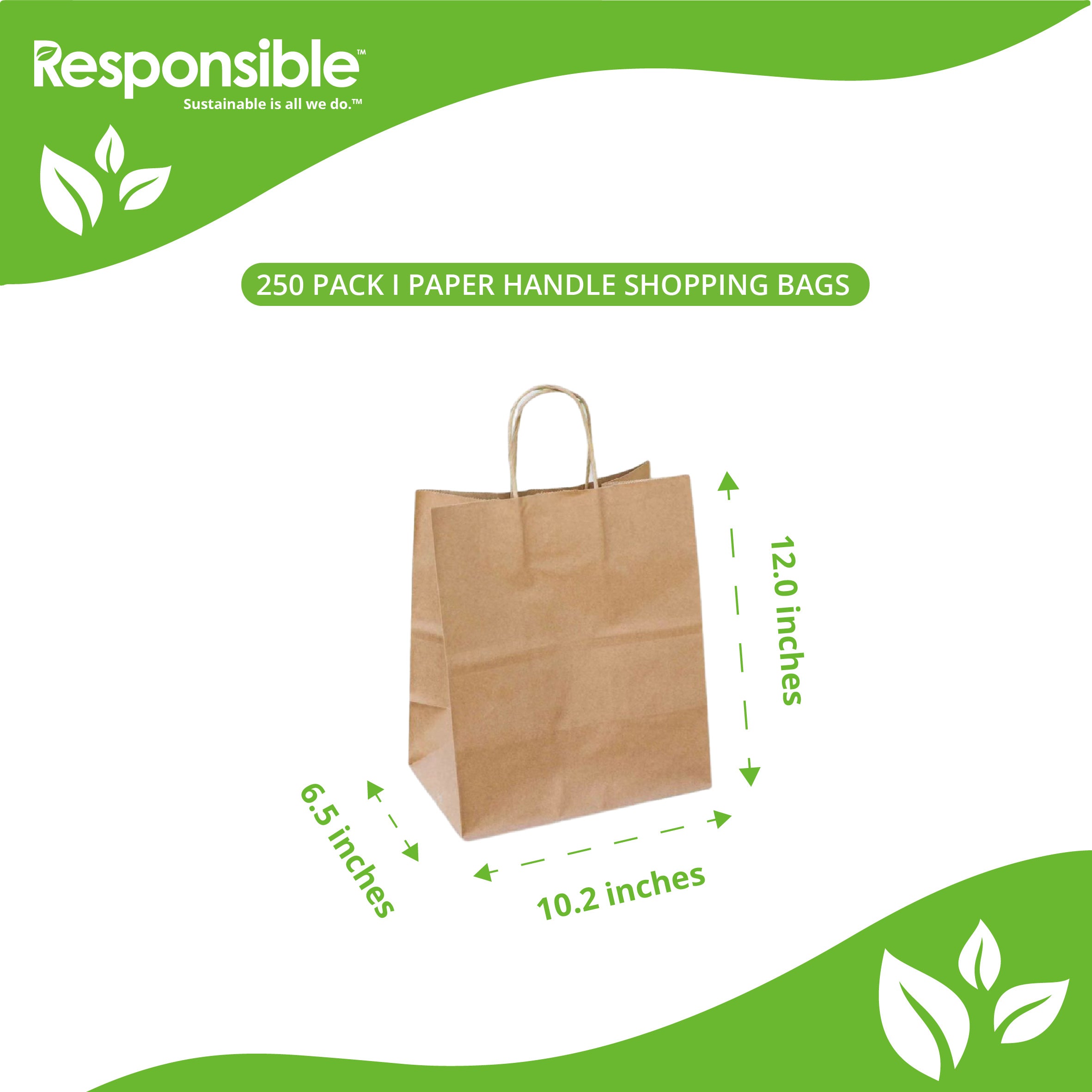 10.2 x 12 x 6.5 inch Paper Handle Shopping Bag