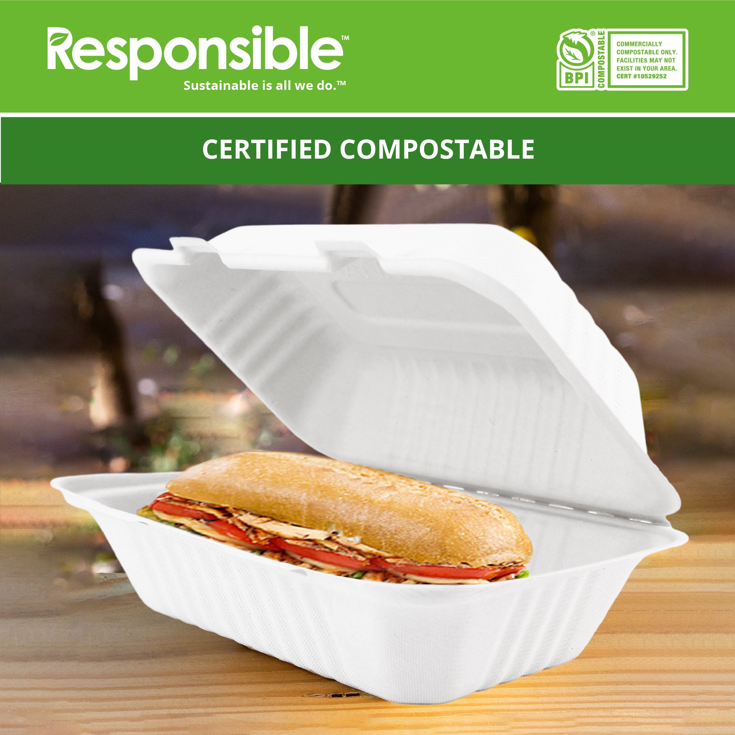 Compostable 9 x 6 inch Molded Fiber Hinged Containers White
