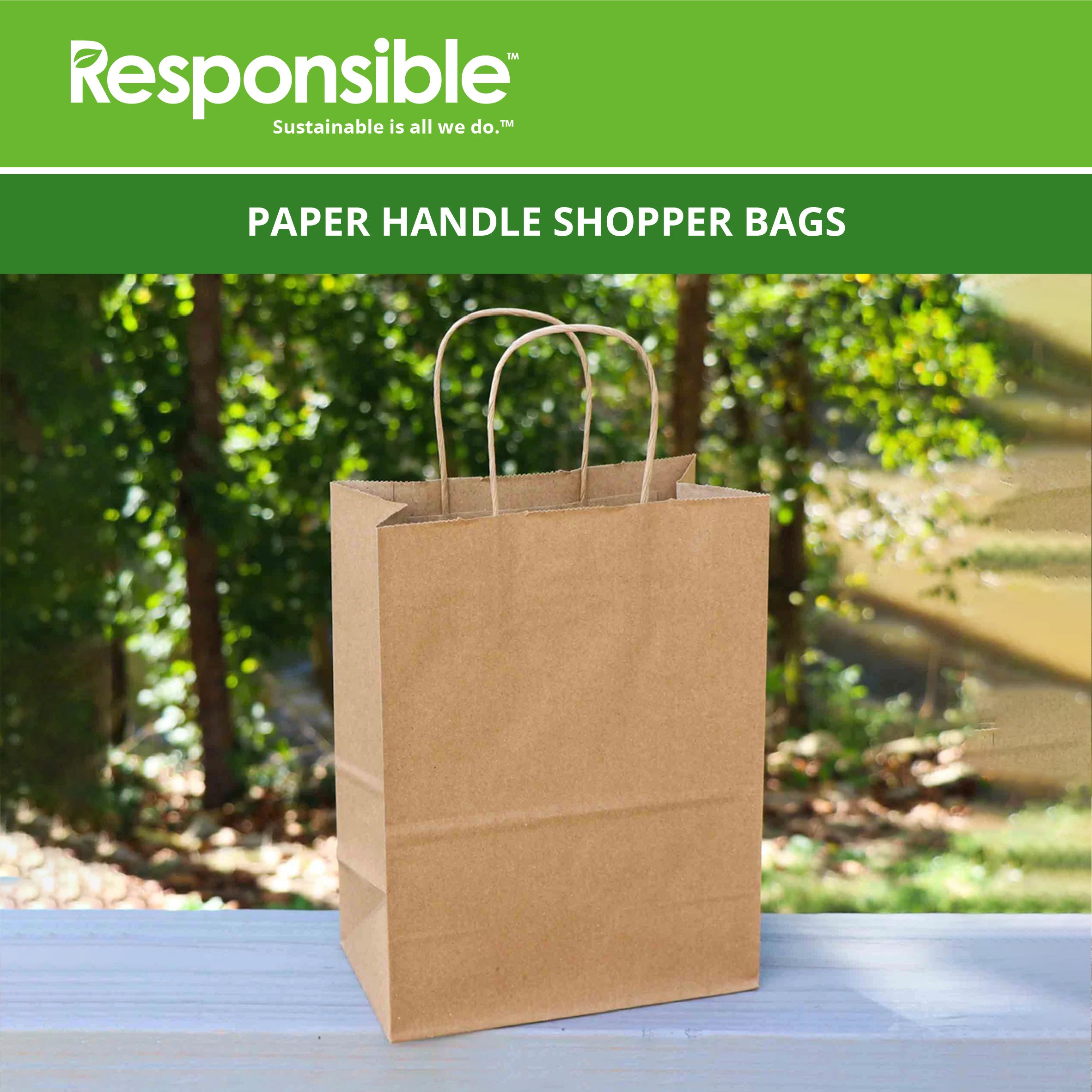 8.1 x 10.6 x 4.5 Inch Paper Handle Shopping Bag