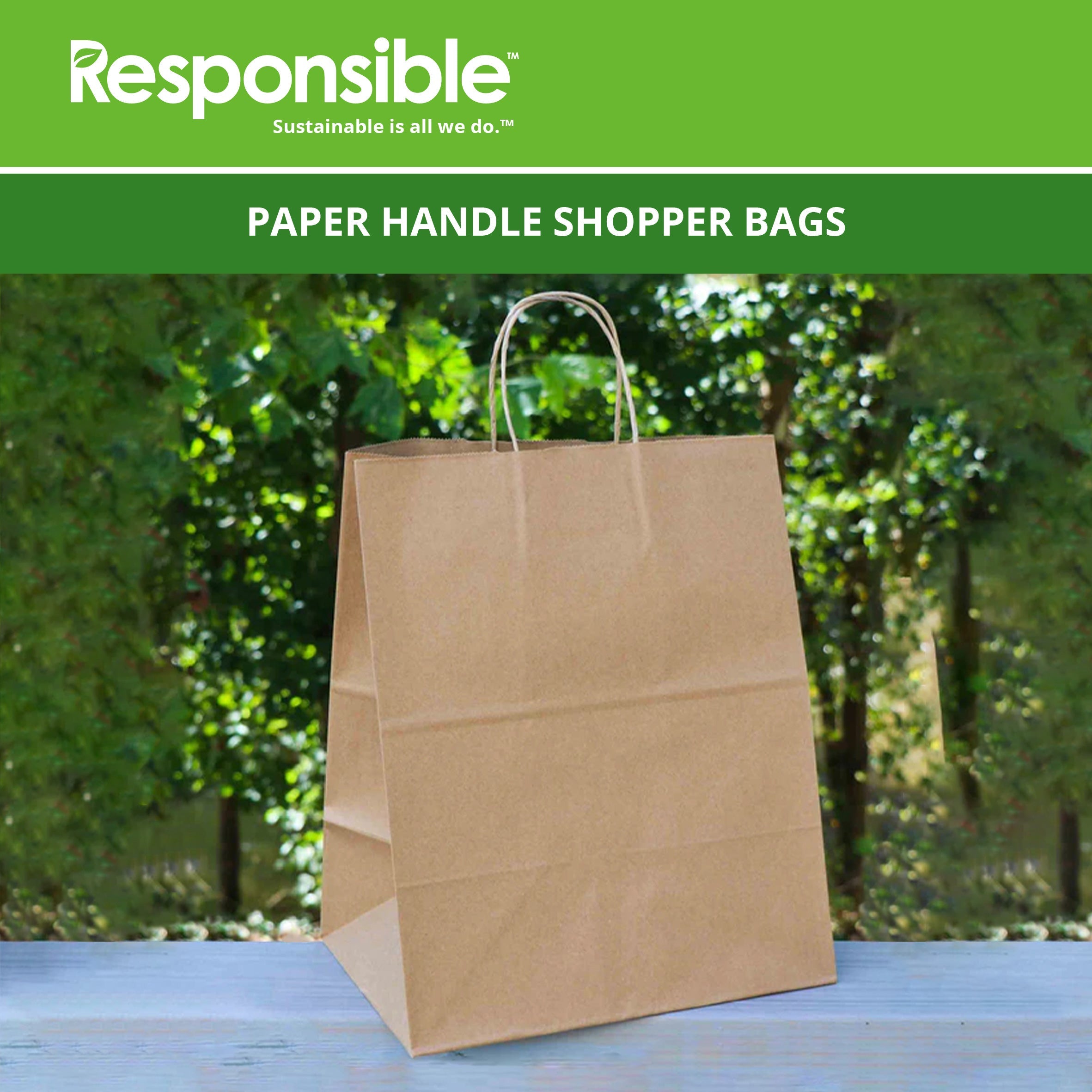 13 x 15.7 x 9.1 inch Paper Handle Shopping Bag
