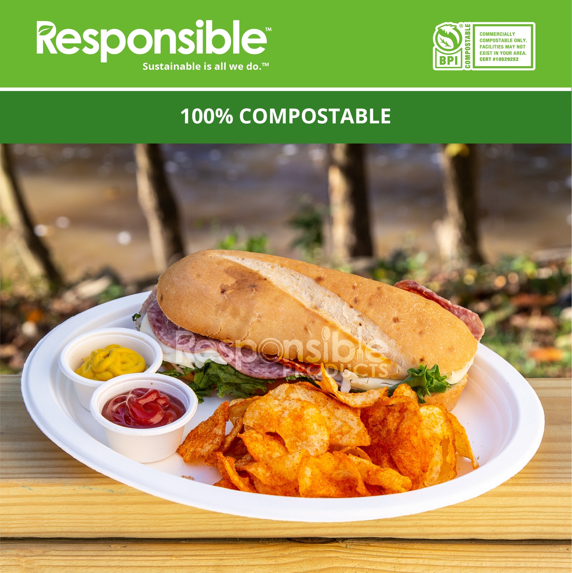 Compostable 12.5 x 10 Inch Round Plates