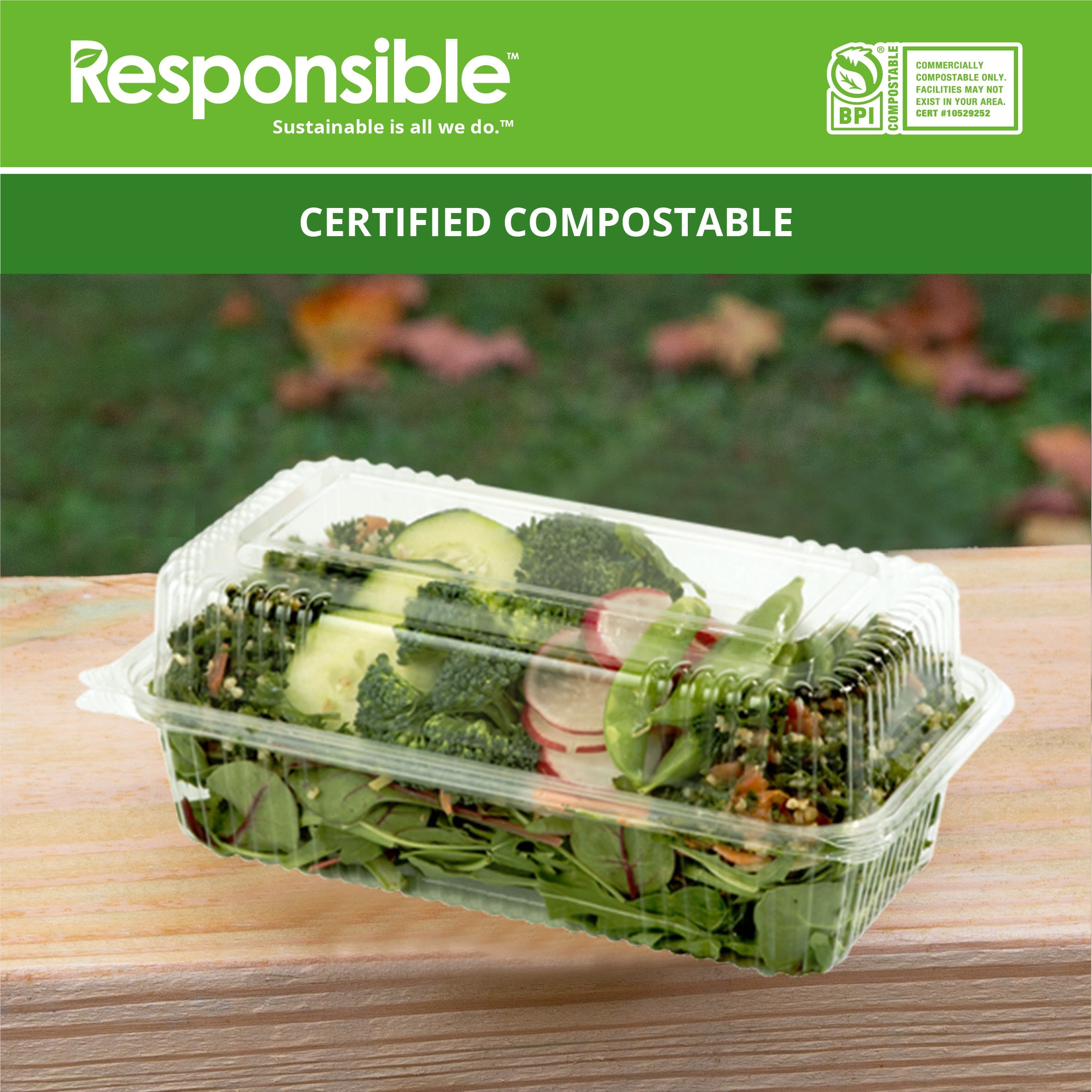 Compostable 9 x 5 Inch Clear hinged containers