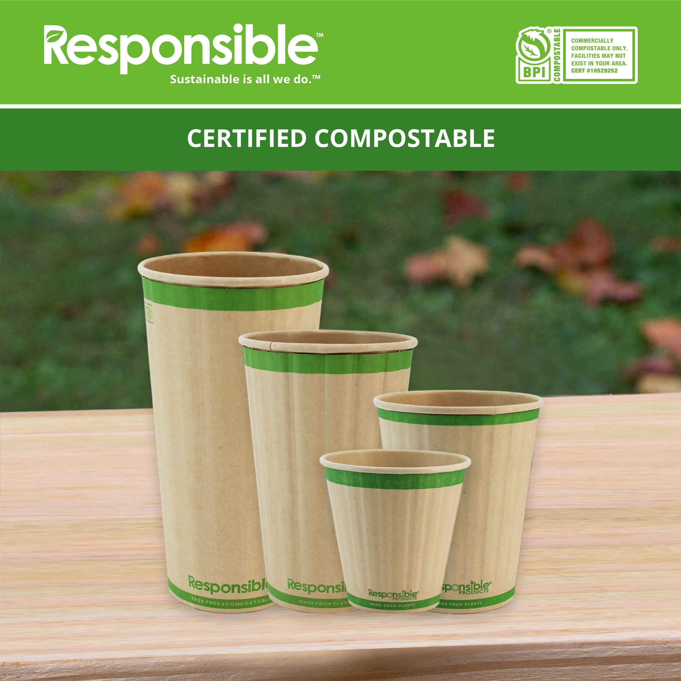 Compostable 8 oz Rigid Insulated Paper Hot Cups