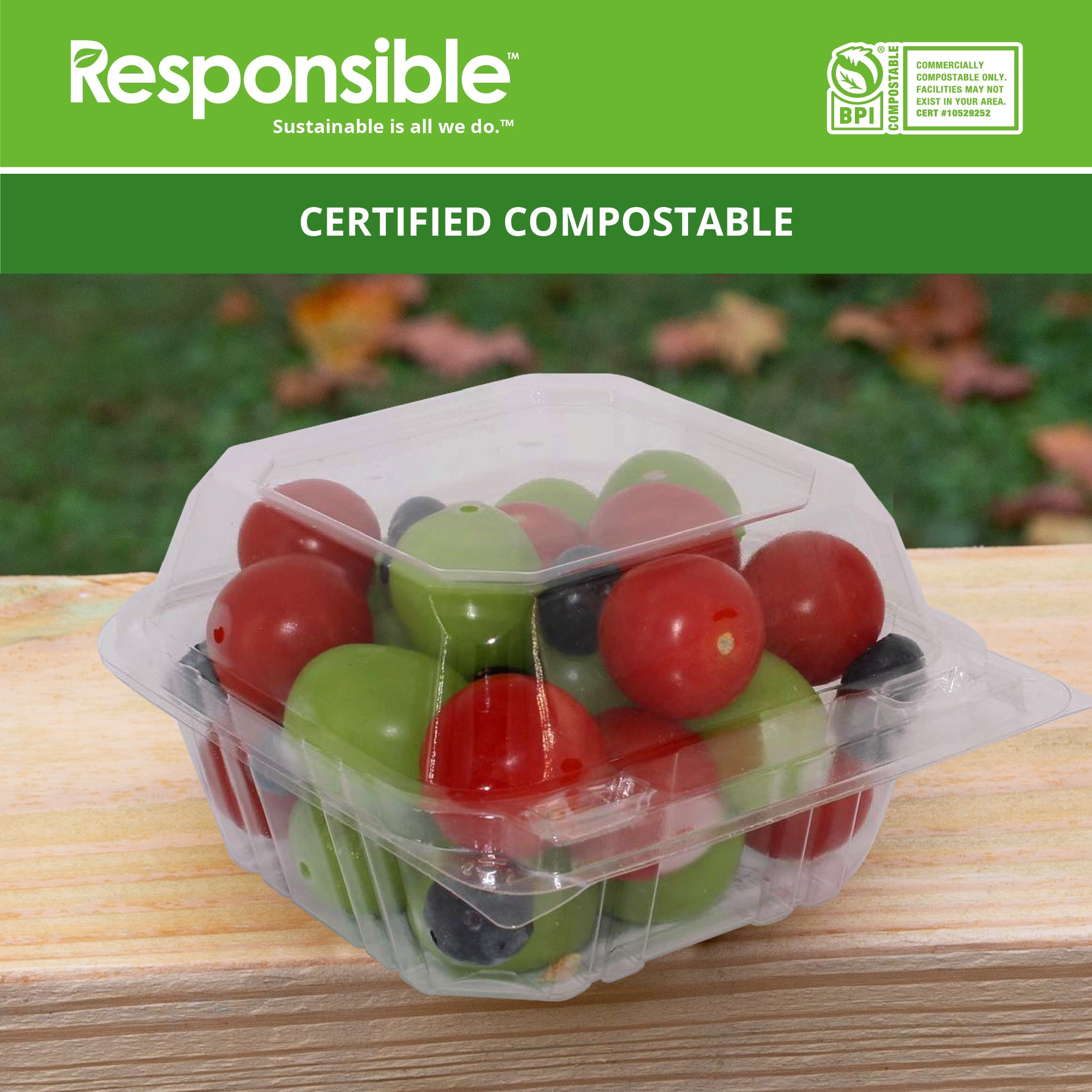 Compostable 6 x 6 Inch Clear hinged containers