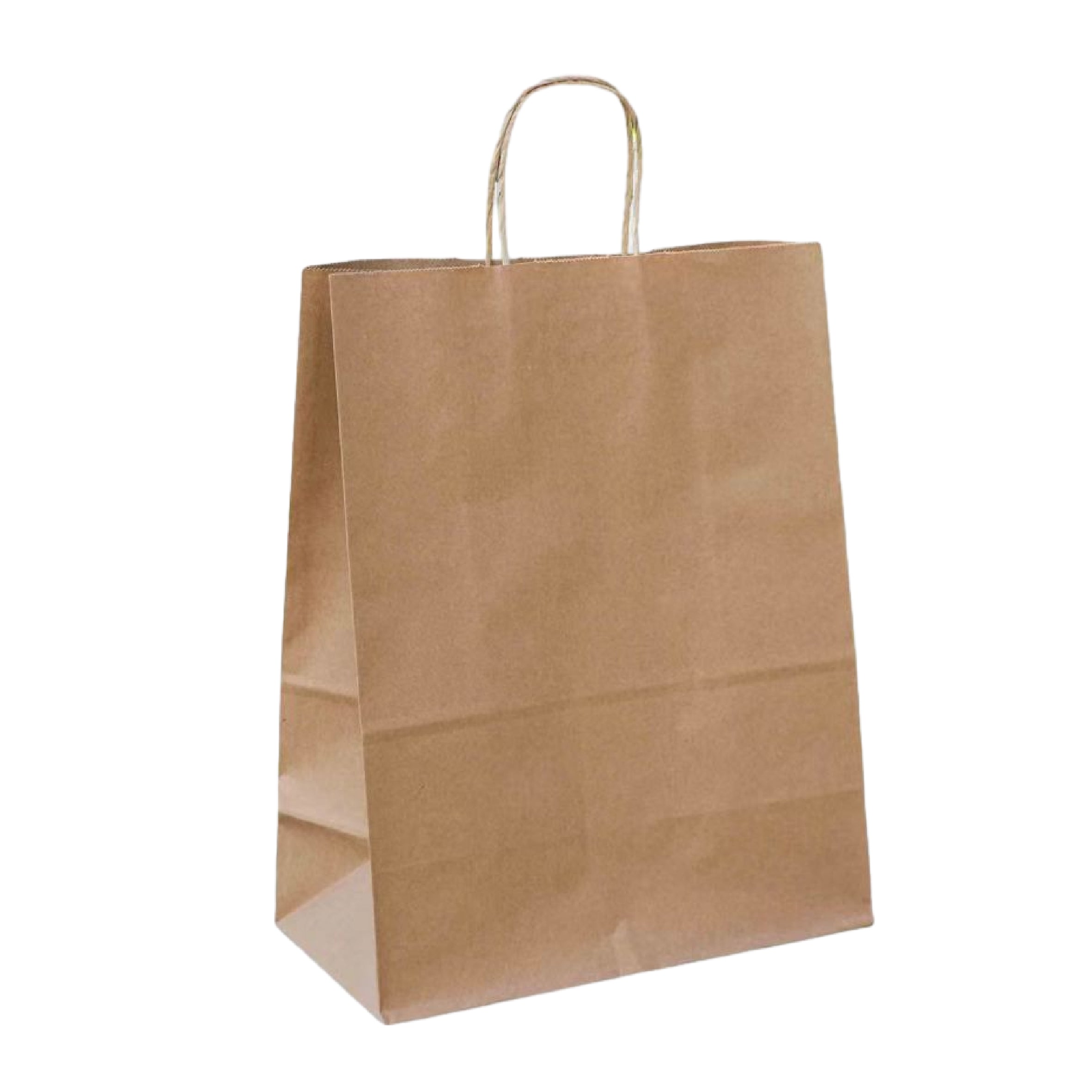 13.2 x 16.7 x 6.9 inch Paper Handle Shopping Bag
