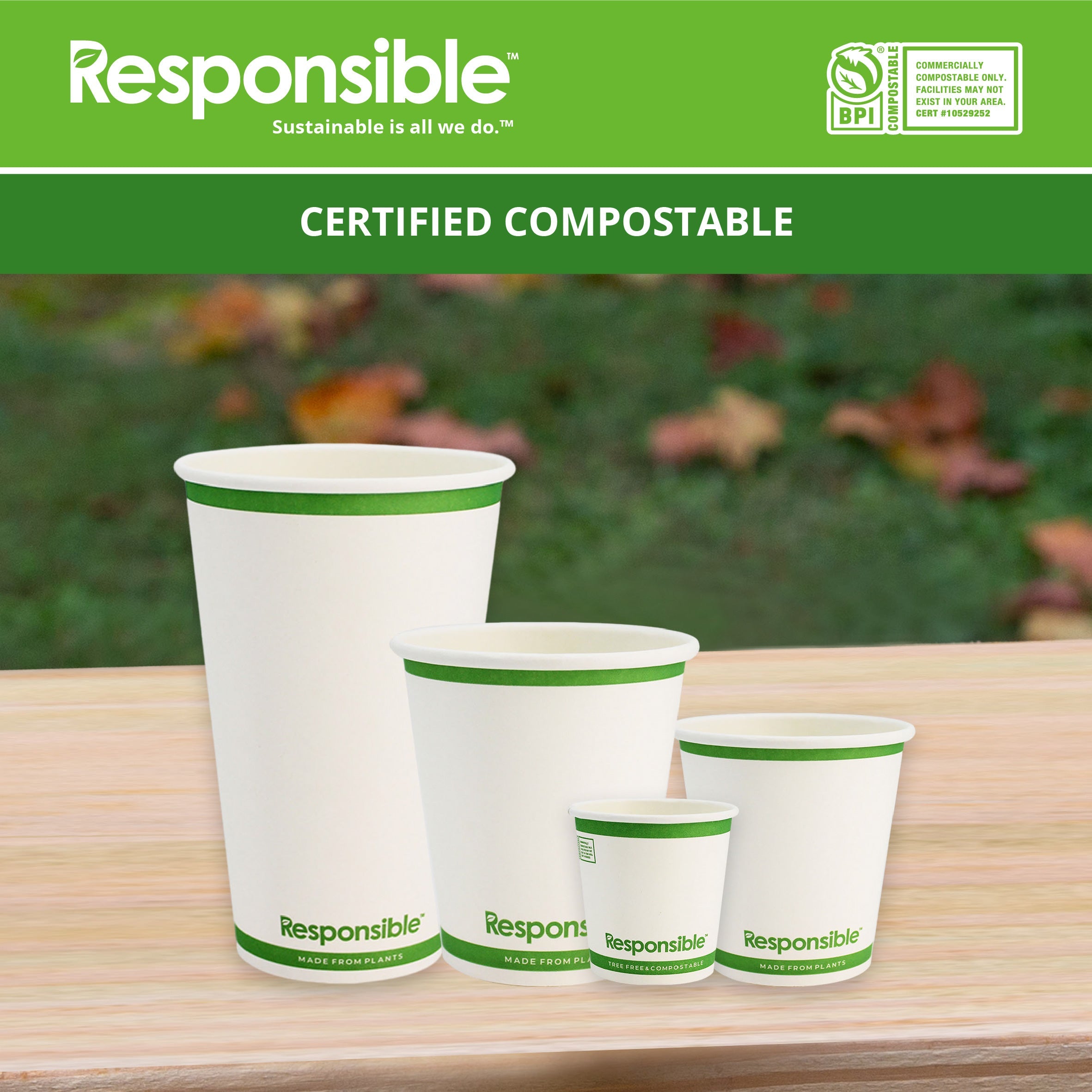 Compostable 10 oz Paper Hot Cups