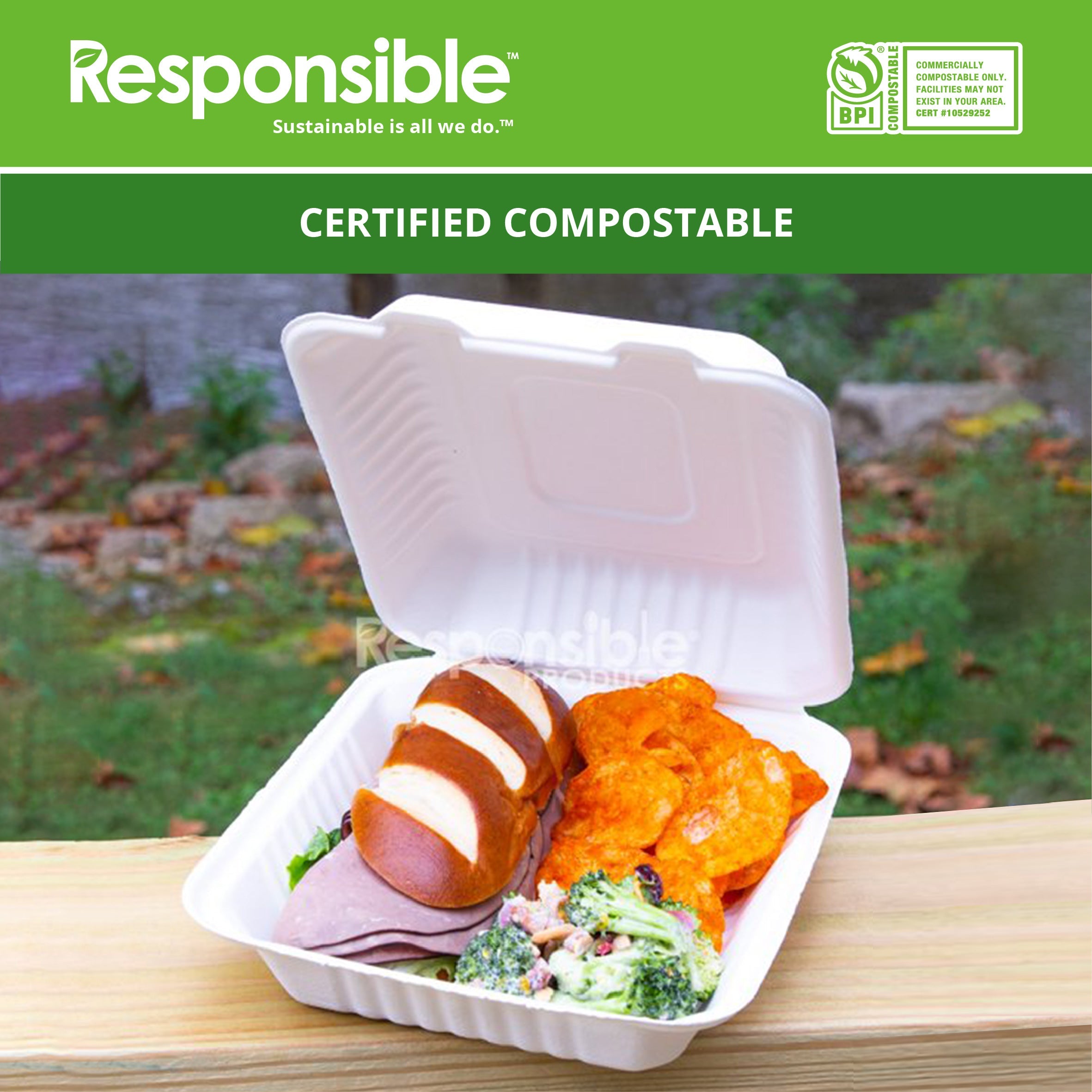 Compostable 8 inch Molded Fiber Hinged Containers White
