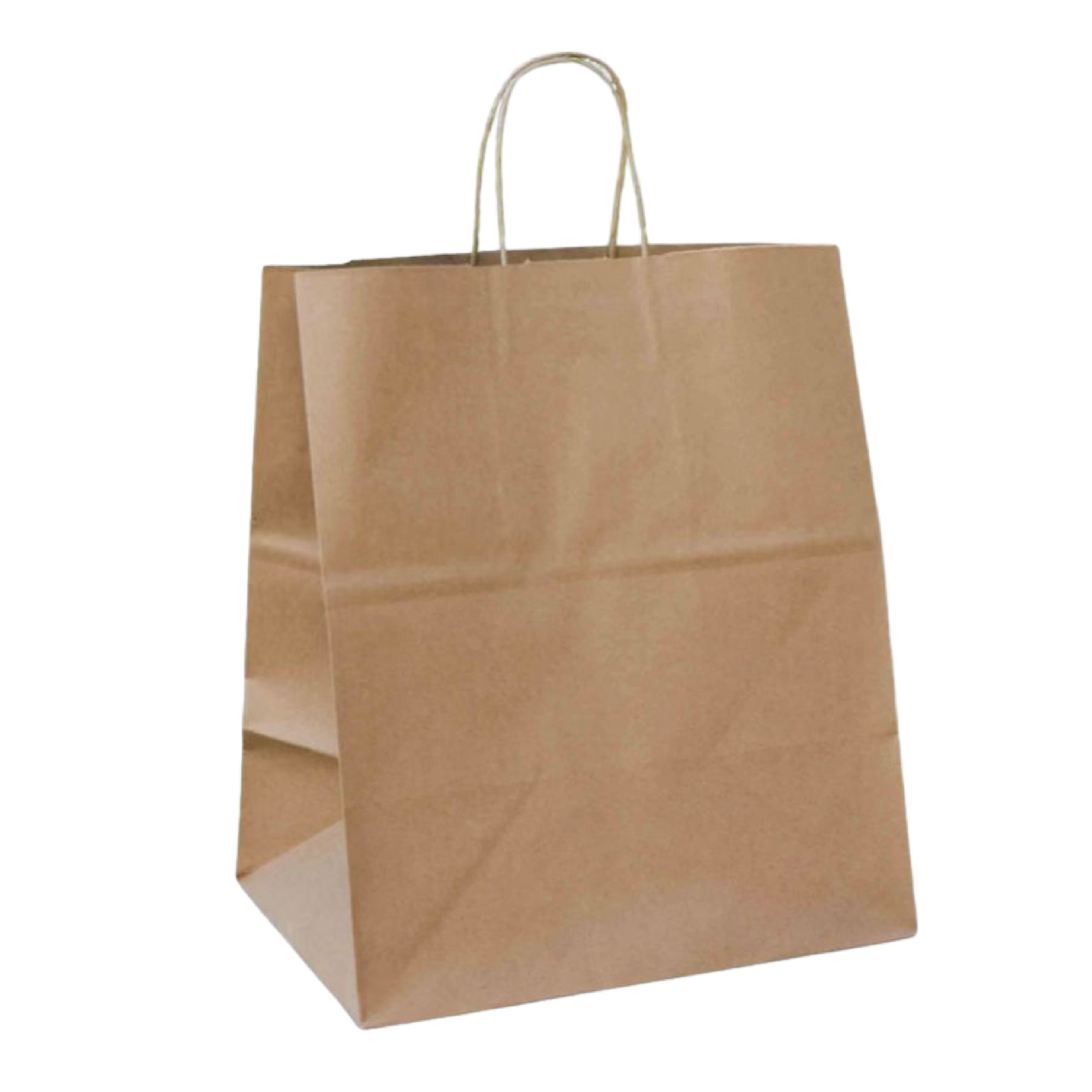 14 x 16.5 x 9.6 inch Paper Handle Shopping Bag