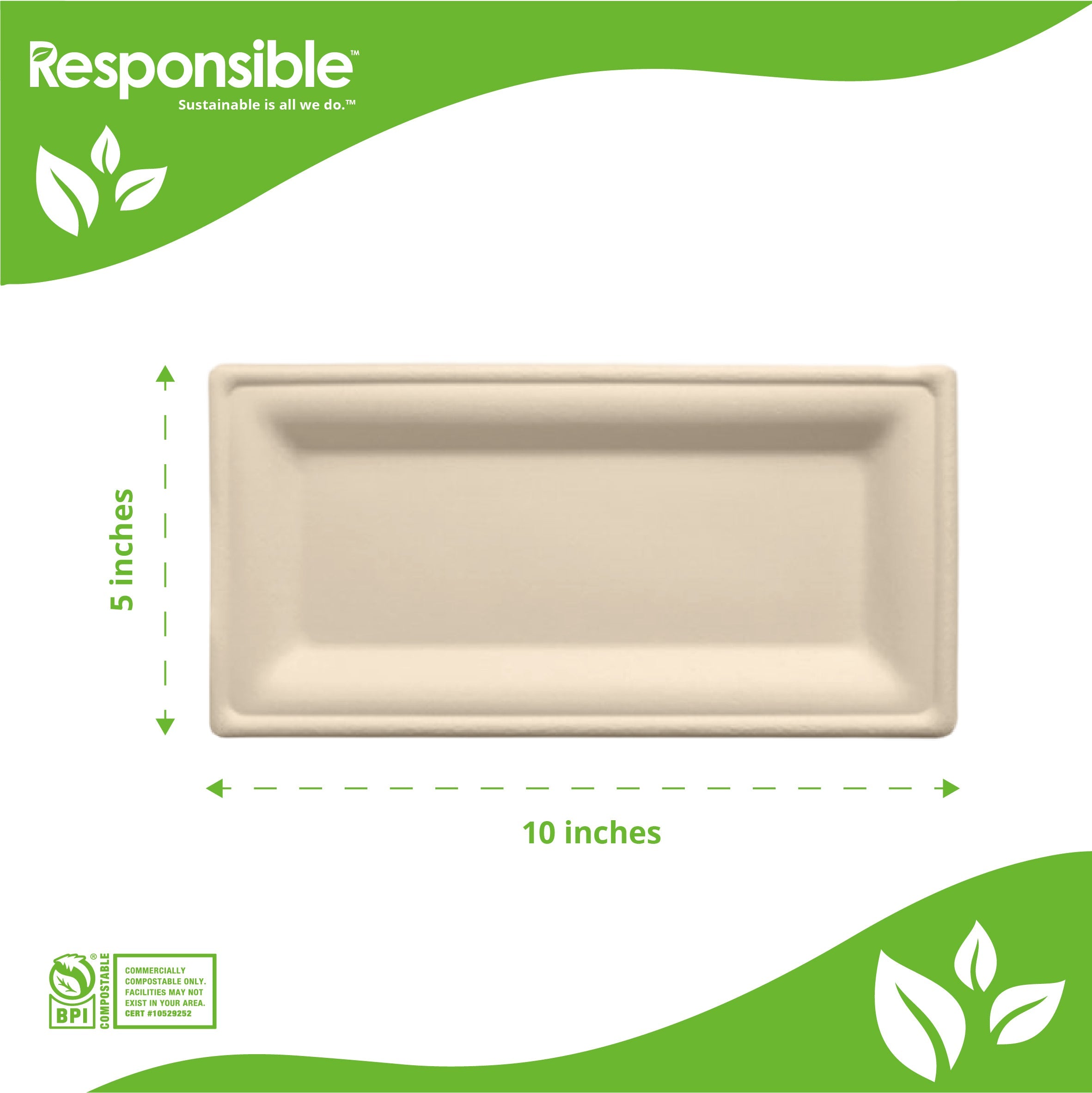 10 x 5 inch Rectangle Plates